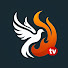 zEp02LapurM-channel-avatar-12 EN ACCIÓN TV