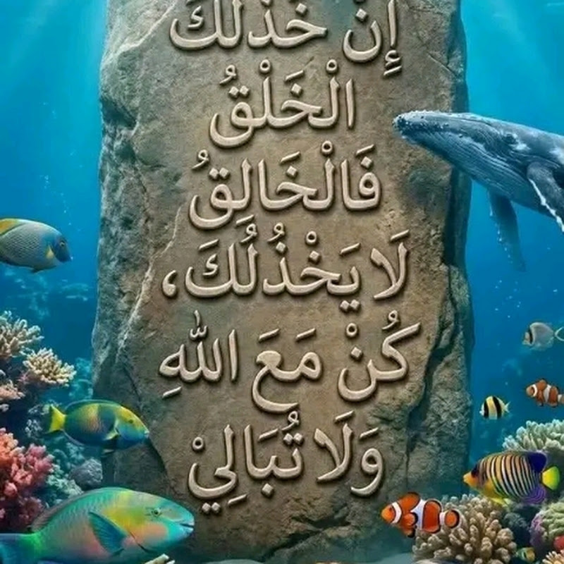 سعيد فتحي 