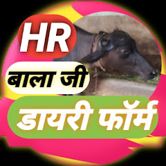 Channel thumbnail for HR Bala Ji Dairy Farm
