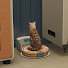 y25efDcJoDA-channel-avatar-TheSims'Nook