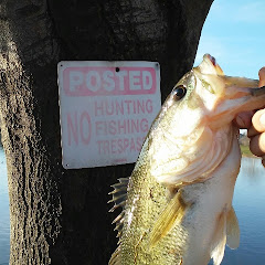 Highspeed_Bassin