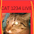 Cat1234 live ultimate channel