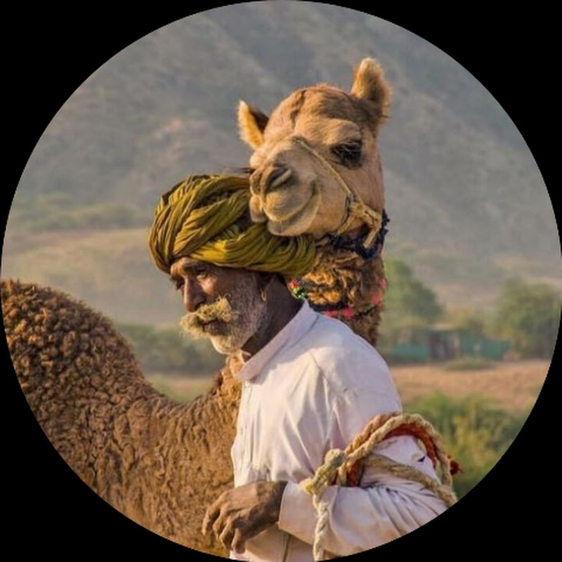 Animals Life Exploring 