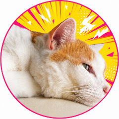 GON CAT【切り抜き】