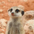 -On6d8HJ-E0-channel-avatar-Lelo's Southern African Trips from 2012 onwards