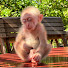 R0p9O13YWvA-channel-avatar-QH Garden