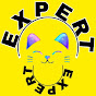 exxpertclasses logo