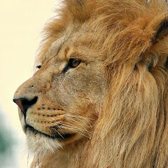 A-Familyちゃんねる