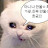 @tomory0904