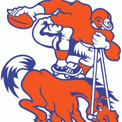 Denver Broncos Mile High View