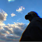 zeX-Ym9oPHw-channel-avatar-HERZLIMIT