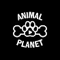 Animals Planet logo