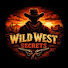 8CzbbOkFog0-channel-avatar-Wild West Secrets