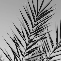 Vintage Luxury Beats