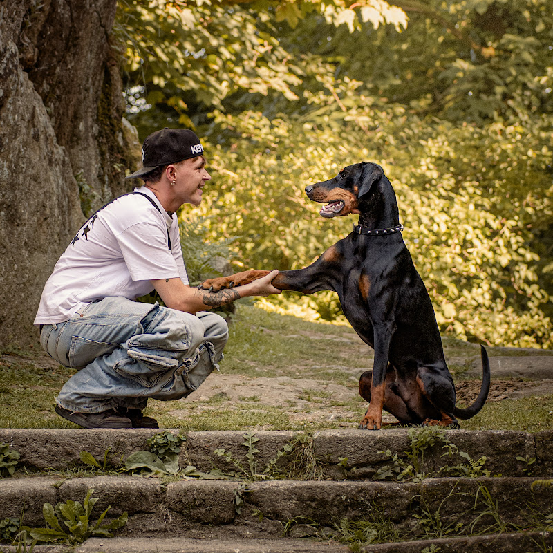 Arka le Dobermann