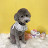 @텐베거가자