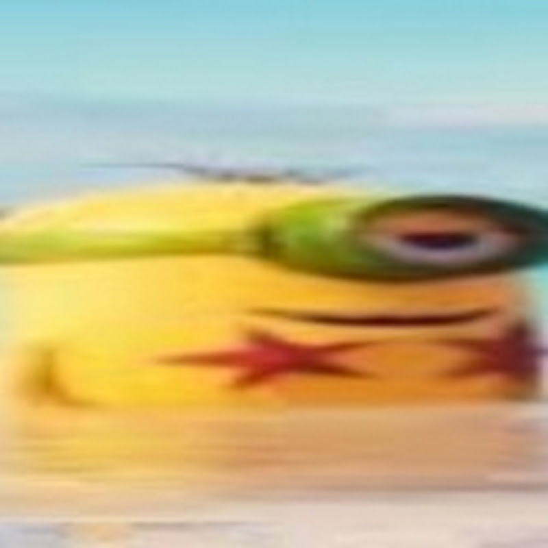 MinionsMemez icon