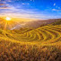 eV7rW1ebPzM-channel-avatar-Sunlight XXX