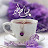 @Abeer-sv7cc