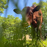 d452_1VgTwU-channel-avatar-Owl Ridge Homestead - Connecticut Homesteading