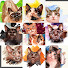FV1mb2CXCpM-channel-avatar-我が家の猫軍団【全員保護猫】