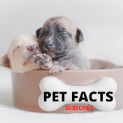 Pet  Facts 