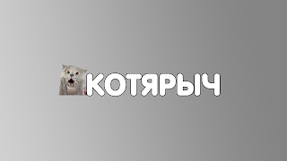 Заставка Ютуб-канала «Котярыч»