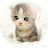 @David-g9m9n