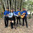 rwq9WtFSdEI-channel-avatar-Sol y sus Diamantes - Grupo musical - Zamora