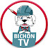 CAgtnaP0Y3c-channel-avatar-Bichon TV
