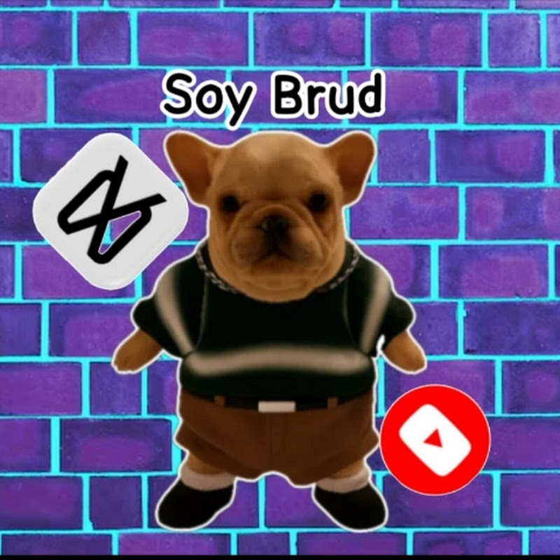 🌮Soy_Brud🌮