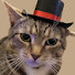 bR6KRLSaT4M-channel-avatar-SirMeow