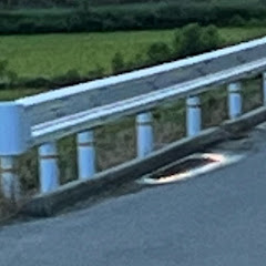 さみ