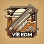 VIE EDM logo