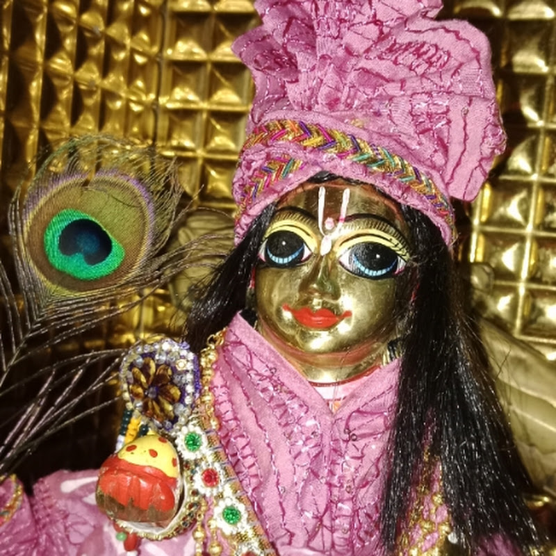 Cute laddu gopal