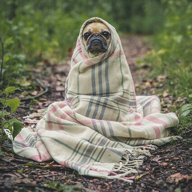 ValaiOli Alaivarisai