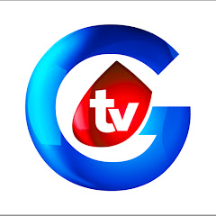 DTV Sénégal net worth