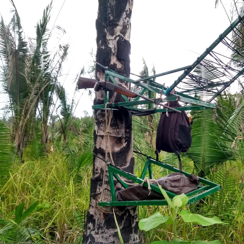 hunting Maranhão