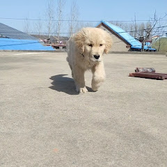 朔北アイコン画像