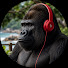 l3GDyUJvB1w-channel-avatar-GORILLAS FM