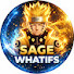 3_Ri5j29fGY-channel-avatar-Sage Whatifs Official 