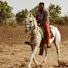 s9CtiZu6hAw-channel-avatar-Sobha Stud Farm Vinjhan