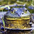 bullfrog