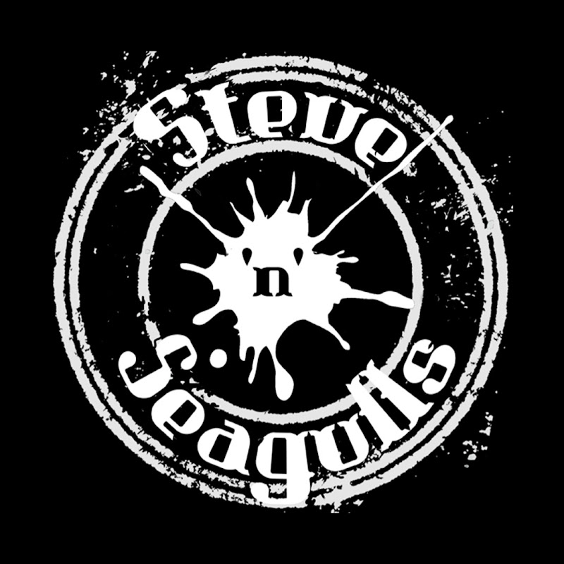 Steve “Steve'n'Seagulls” Seagulls