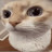 youtube avatar