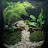 @S-scapes Avatar