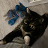 fV_2-WKqxFQ-channel-avatar-WhiteLiesBlackCats