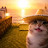 @NASHT6-SUBRN