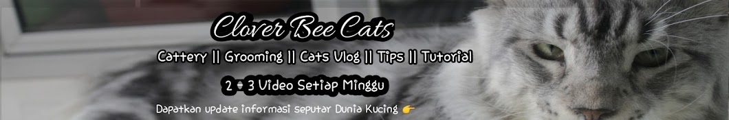 Inspirasi Pecinta Kucing YouTube kanalı avatarı
