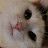 @Xheuz's avatar
